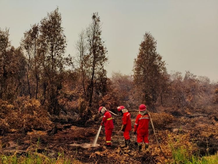 Pemerintah Perkuat Operasi Terpadu Cegah Karhutla Meluas