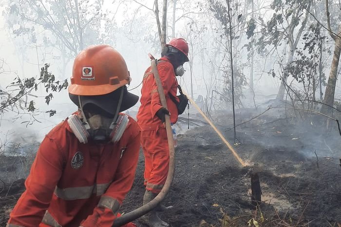 Pemerintah Perkuat Penanganan Darurat Karhutla untuk Cegah Kabut Asap Lintas Batas