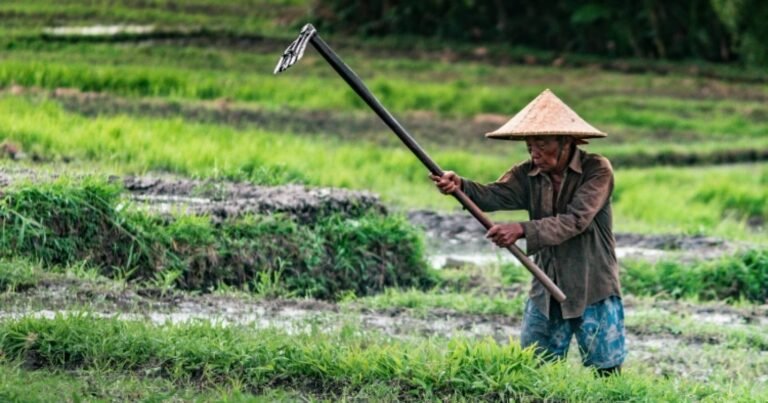 Perlindungan Lahan Pertanian Diperkuat, Pemerintah Jaga Masa Depan Petani