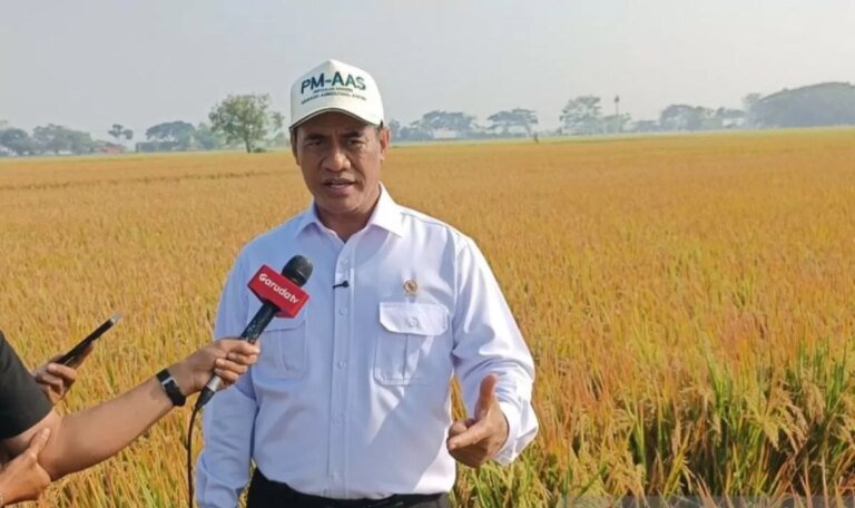 Subsidi Benih Padi Dorong Peningkatan Produktivitas Petani dan Ketahanan Pangan