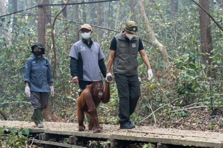 Mengawal Mitigasi Karhutla di Kawasan Konservasi demi Kelestarian Satwa Liar