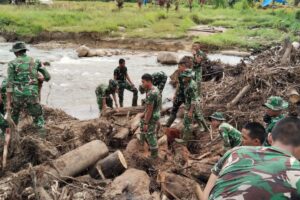 Mengapresiasi Peran TNI, dari Evakuasi hingga Pemulihan Bencana