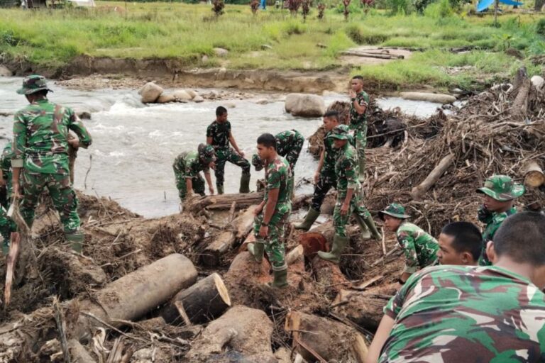 Mengapresiasi Peran TNI, dari Evakuasi hingga Pemulihan Bencana