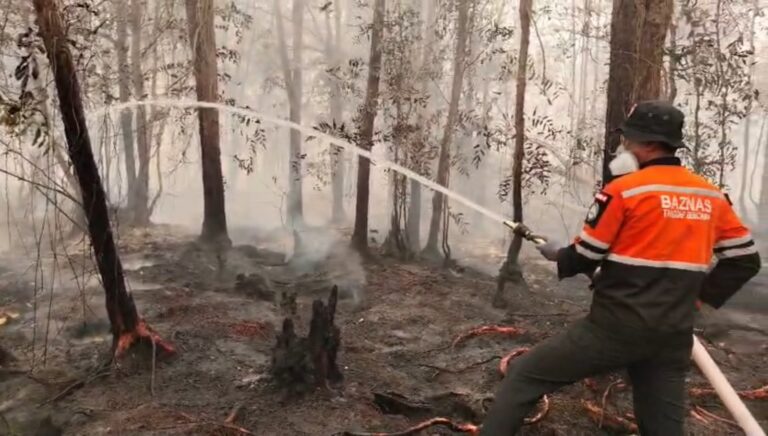 Bantuan Karhutla Diperluas untuk Lindungi Warga dari Kabut Asap