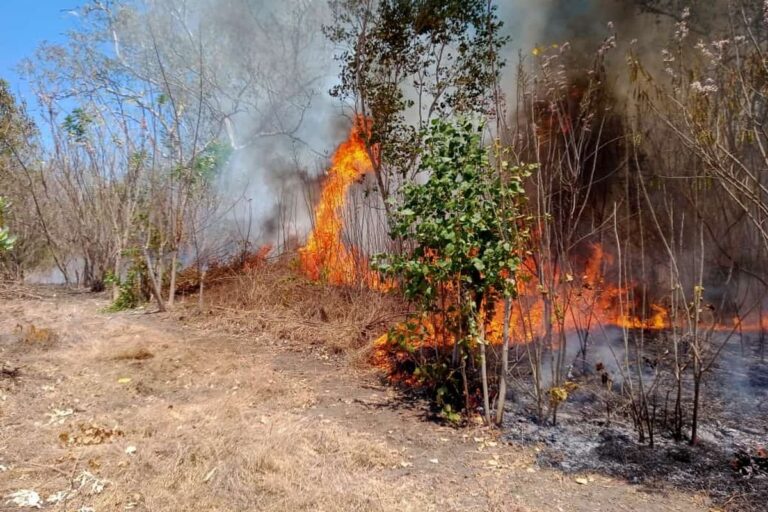 Kesiapsiagaan Bencana Hidrometeorologi Diperkuat melalui Mitigasi Kekeringan dan Pencegahan Karhutla