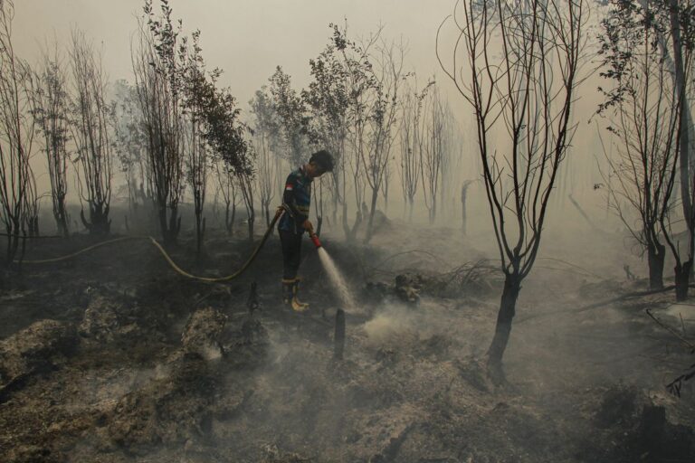 Pengawasan Masuk sampai ke Lahan, Karhutla Berhenti Jadi Kejadian Musiman