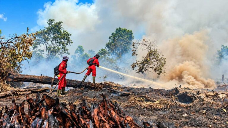 Penanganan Karhutla Terpadu Lindungi Warga, Hutan, dan Kualitas Udara