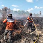 Kerja Pemerintah dan Satgas Terus Diperkuat untuk Karhutla