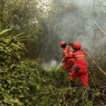 Penanganan Karhutla Tetap Tegas sebelum Api Kembali Meluas