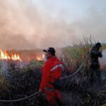 Penanganan Karhutla Melalui Komando Terpadu dari Pusat hingga Daerah