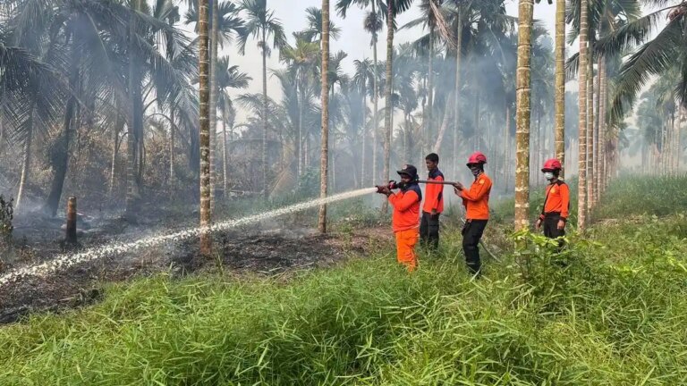 Ratusan Hektare Karhutla Berhasil Dipadamkan, Penanganan Terus Berlanjut