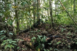 Penindakan Komandan OPM di Maybrat Wujud Pemerintah Utamakan Keselamatan Masyarakat Papua